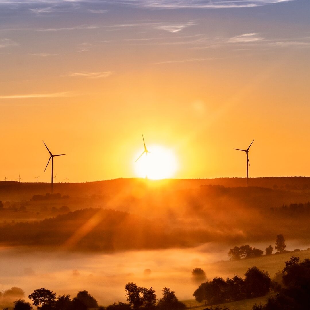 Energy Market Wrap: October 2025