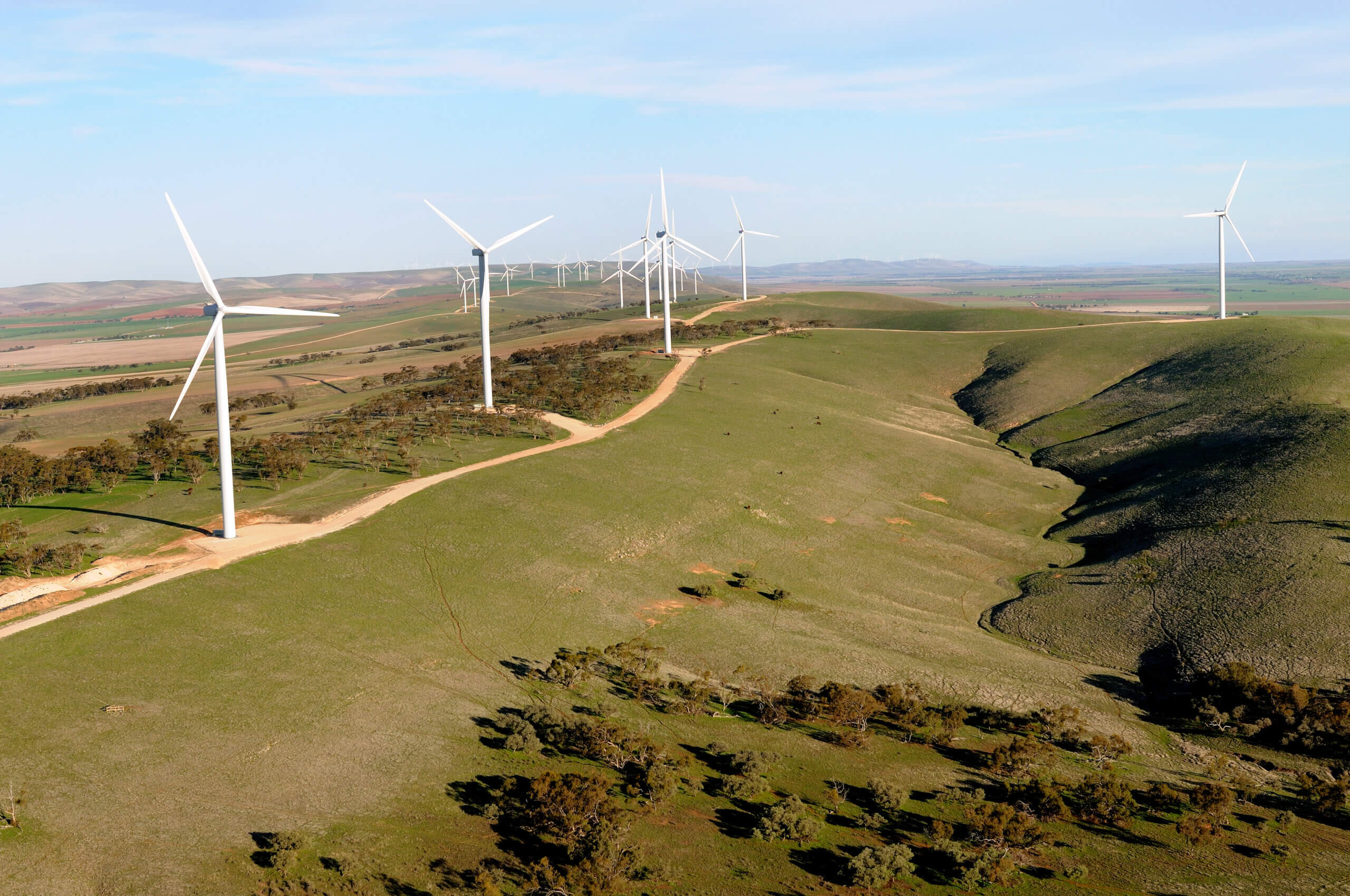 Clements Gap Windfarm